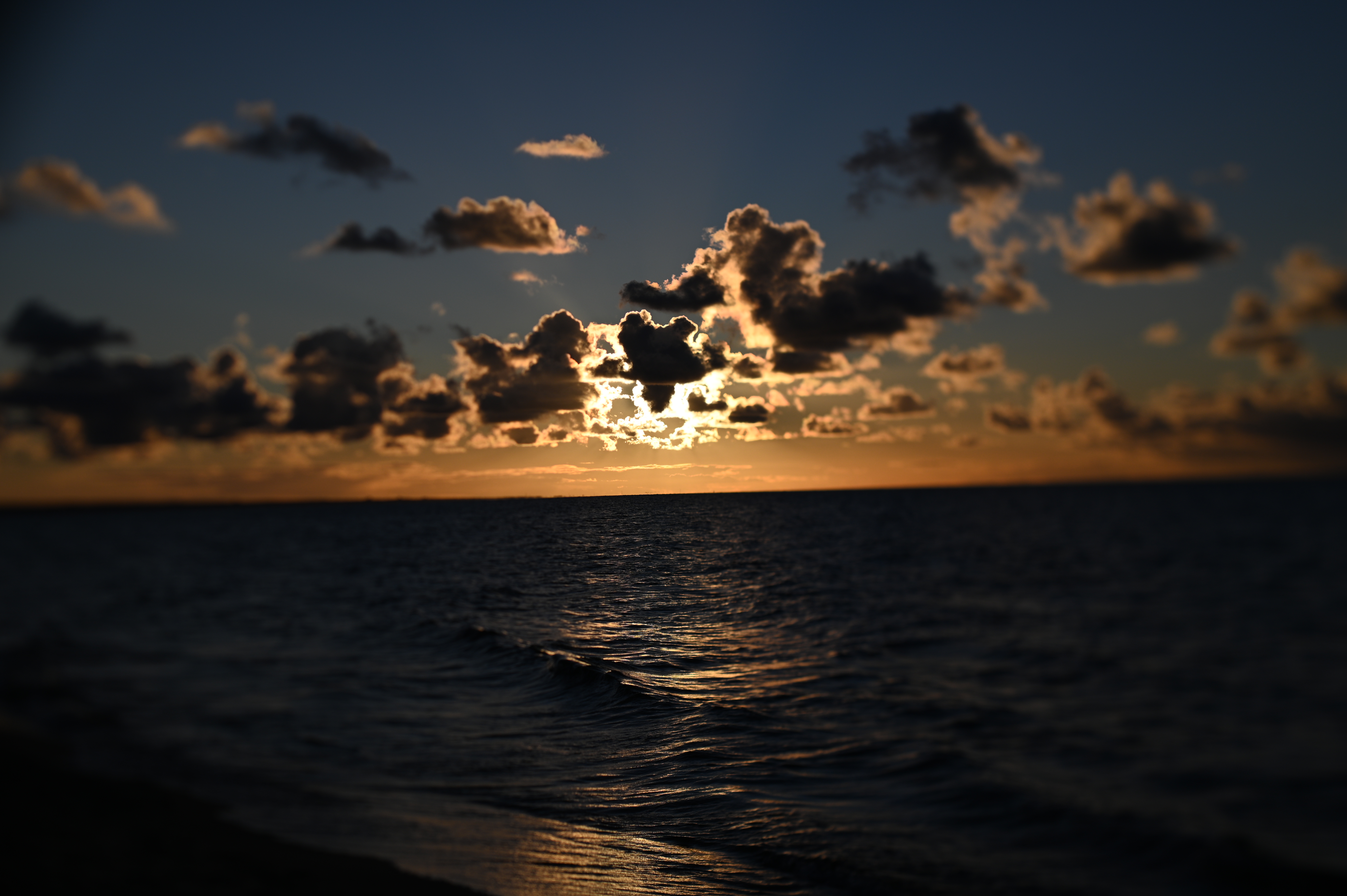 2025/10/18 - walk/DSC_0289.JPG